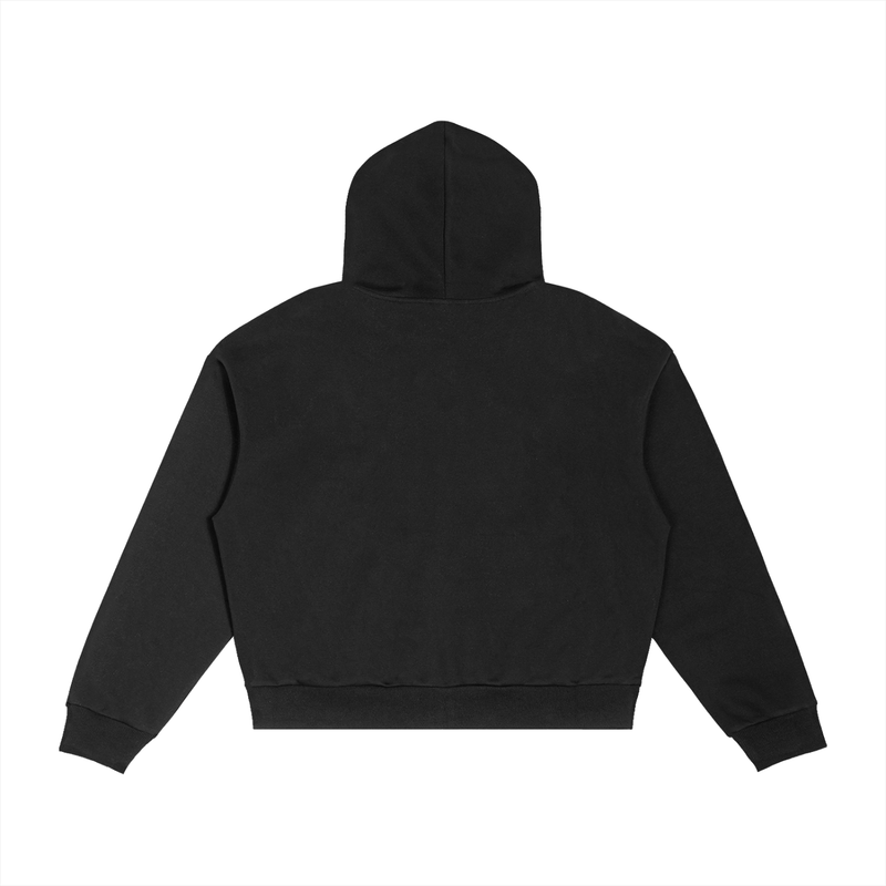 safehouse zip up v1.